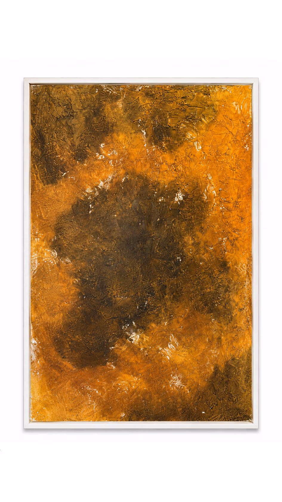 Sahara